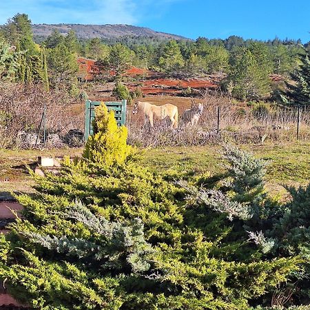Studio " Le Fare Des Terres Rouges" Dans L Aude Arques  Luaran gambar