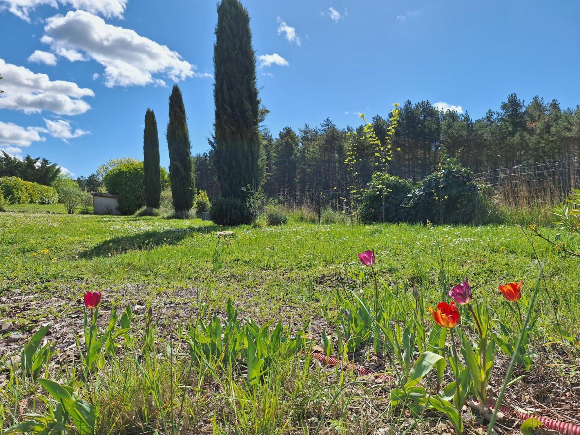 Studio " Le Fare Des Terres Rouges" Dans L Aude Arques  Luaran gambar